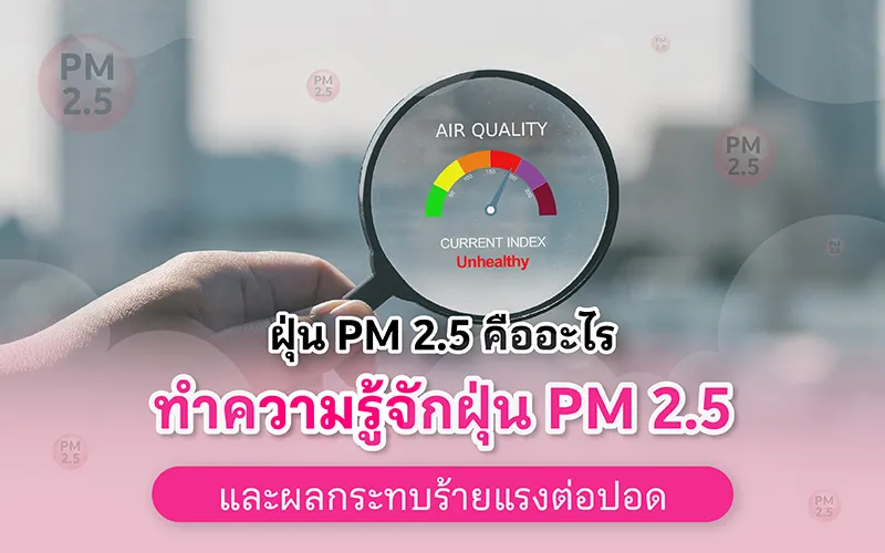 ฝุ่น Pm 2.5 คืออะไร ทำความรู้จักฝุ่น Pm 2 